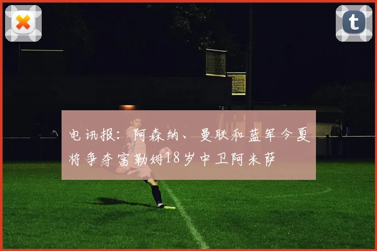 电讯报：阿森纳、曼联和蓝军今夏将争夺富勒姆18岁中卫阿米萨